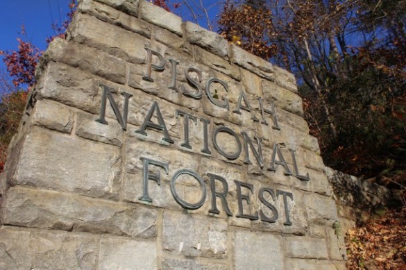Pisgah-national-forest-monument-610x406