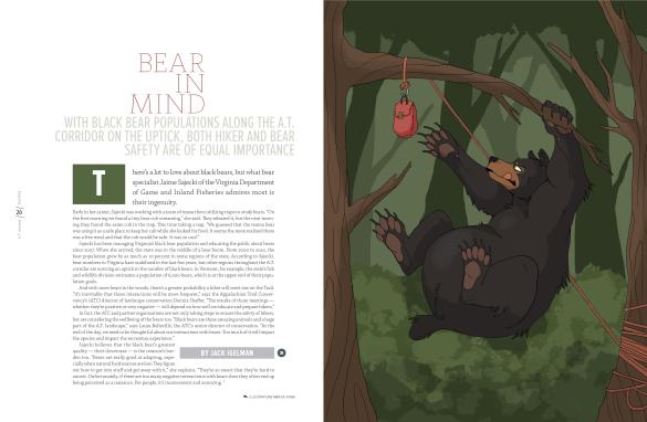 bear-in-mind-atj-fall-2016-1-page-001
